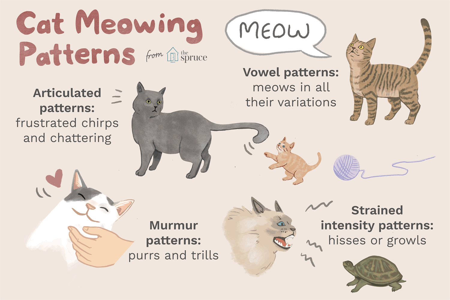 猫喵喵叫模式插图