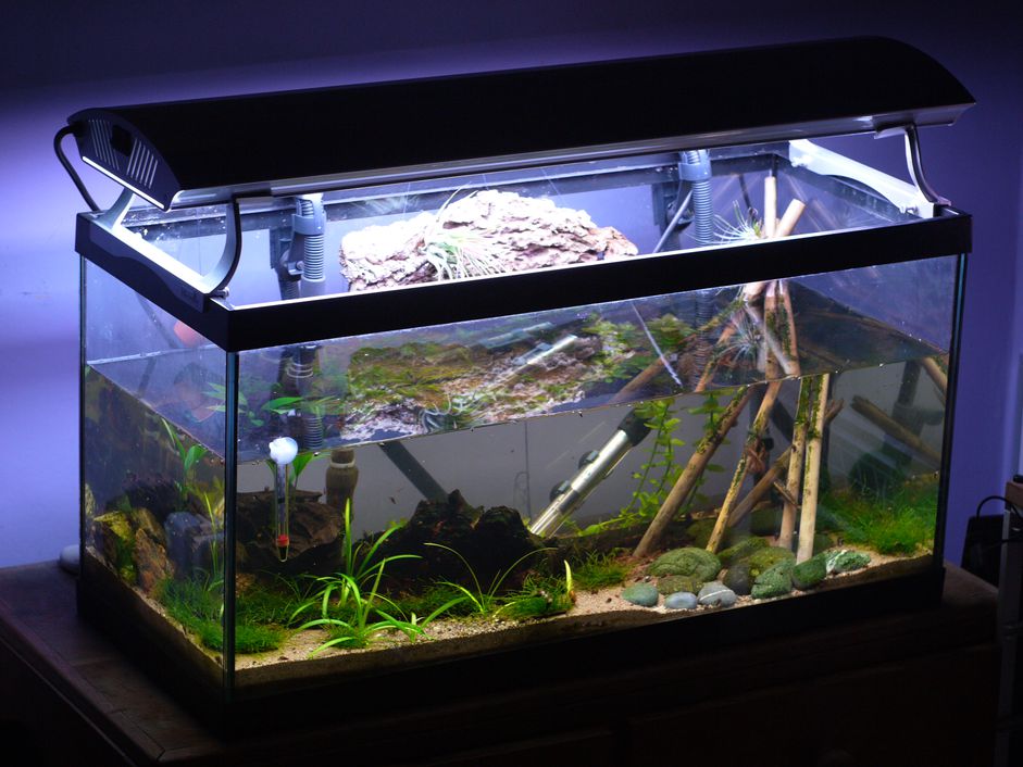 水族馆的温度