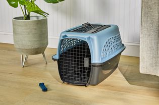 宠物双门宠物犬舍的宠物高达15磅