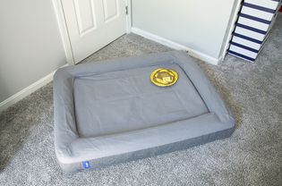 卡斯珀狗床＂width=