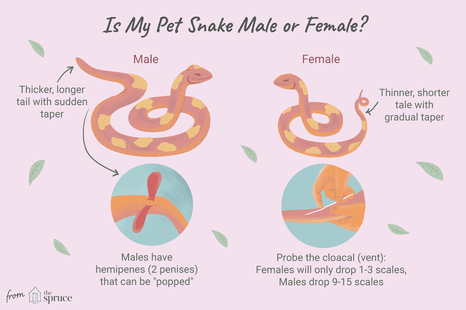 怎么告诉我一个小女孩