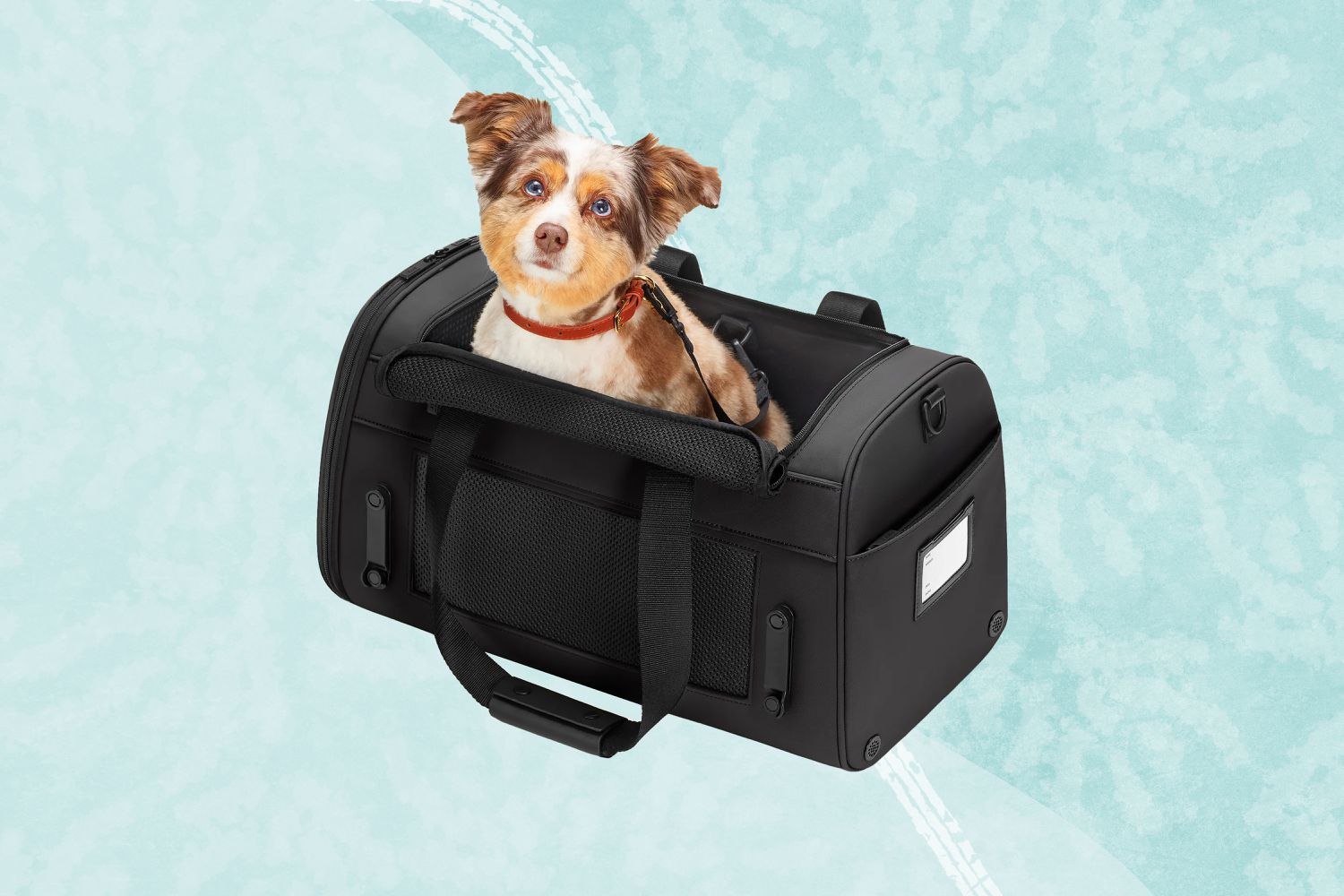 Collage of Away The Pet Carrier on blue background