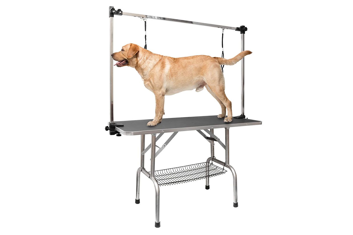 RoomTec 46“;狗狗美容表