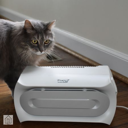 Hamilton Beach TrueAir紧凑型宠物空气净化器