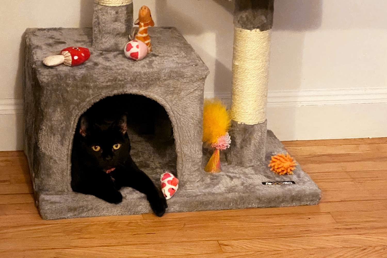 Close up of cat lying inside the bottom hole of Feandrea Cat Tree for Large Cats
