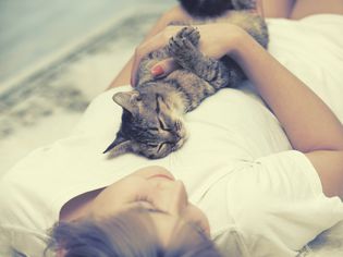 为什么我的猫躺在我的胸口上