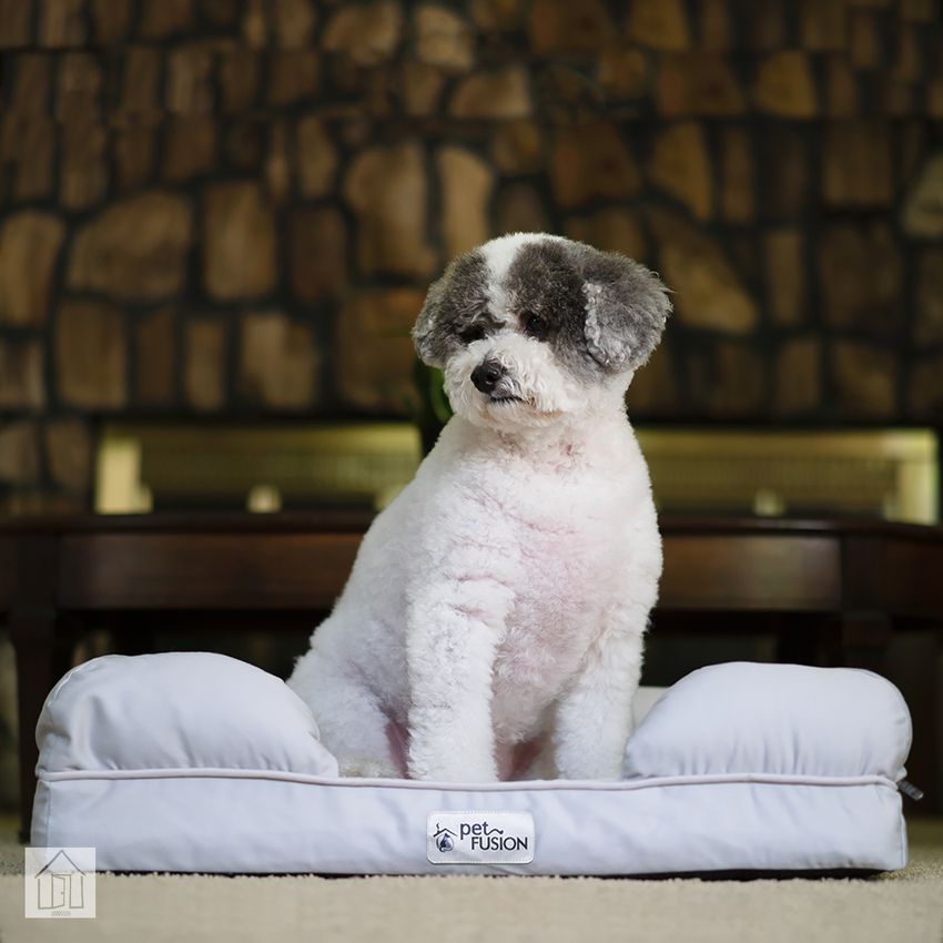 PetFusion终极宠物床和休息室