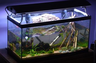 水族馆的温度