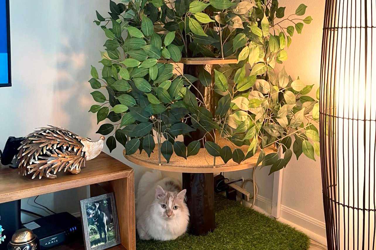 cat tree