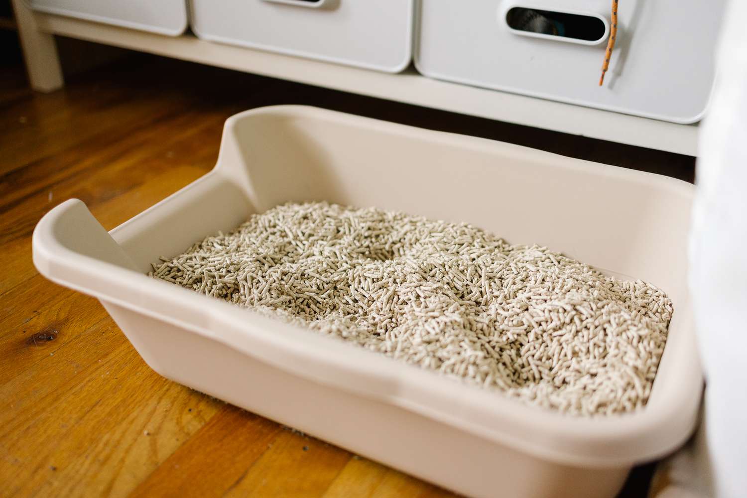 Okocat's Non-Clumping Paper Pellet Litter in a litter box