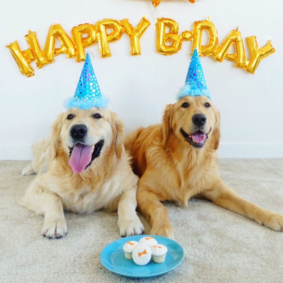 生日派对