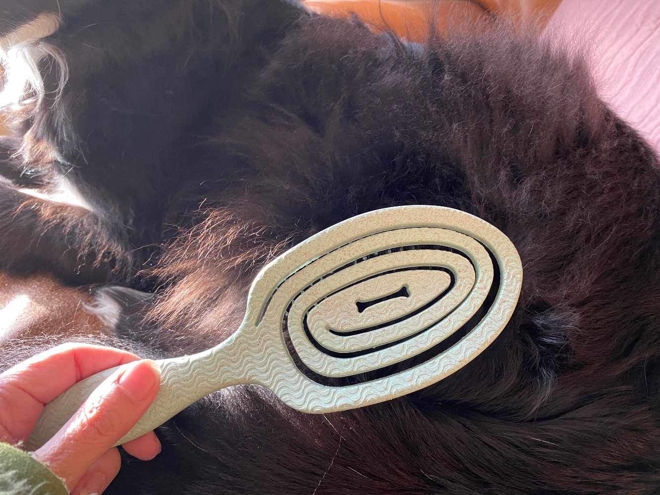 生物丝宠物生态友好型缠结针刷