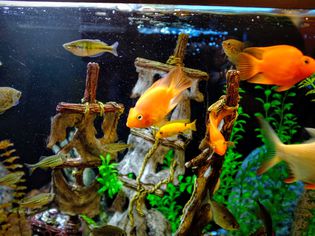 水族馆水族馆