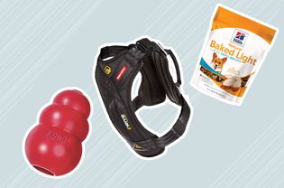 Pet-Expert Advice For Keeping Your Dog Calm During The Hectic Holiday Season