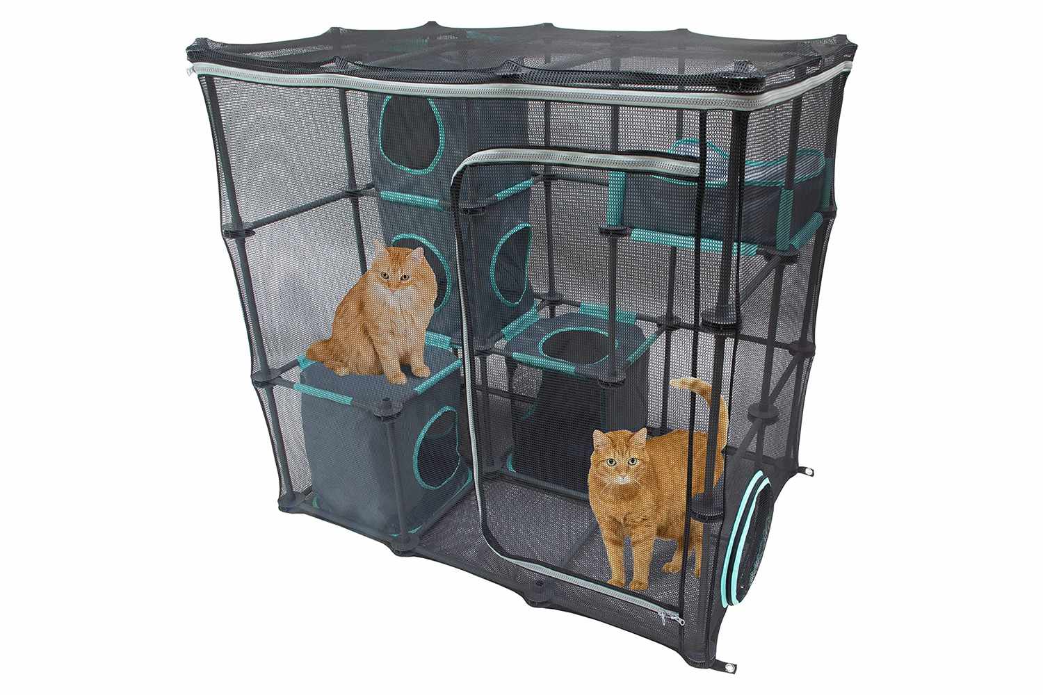 Kitty City户外超大套件