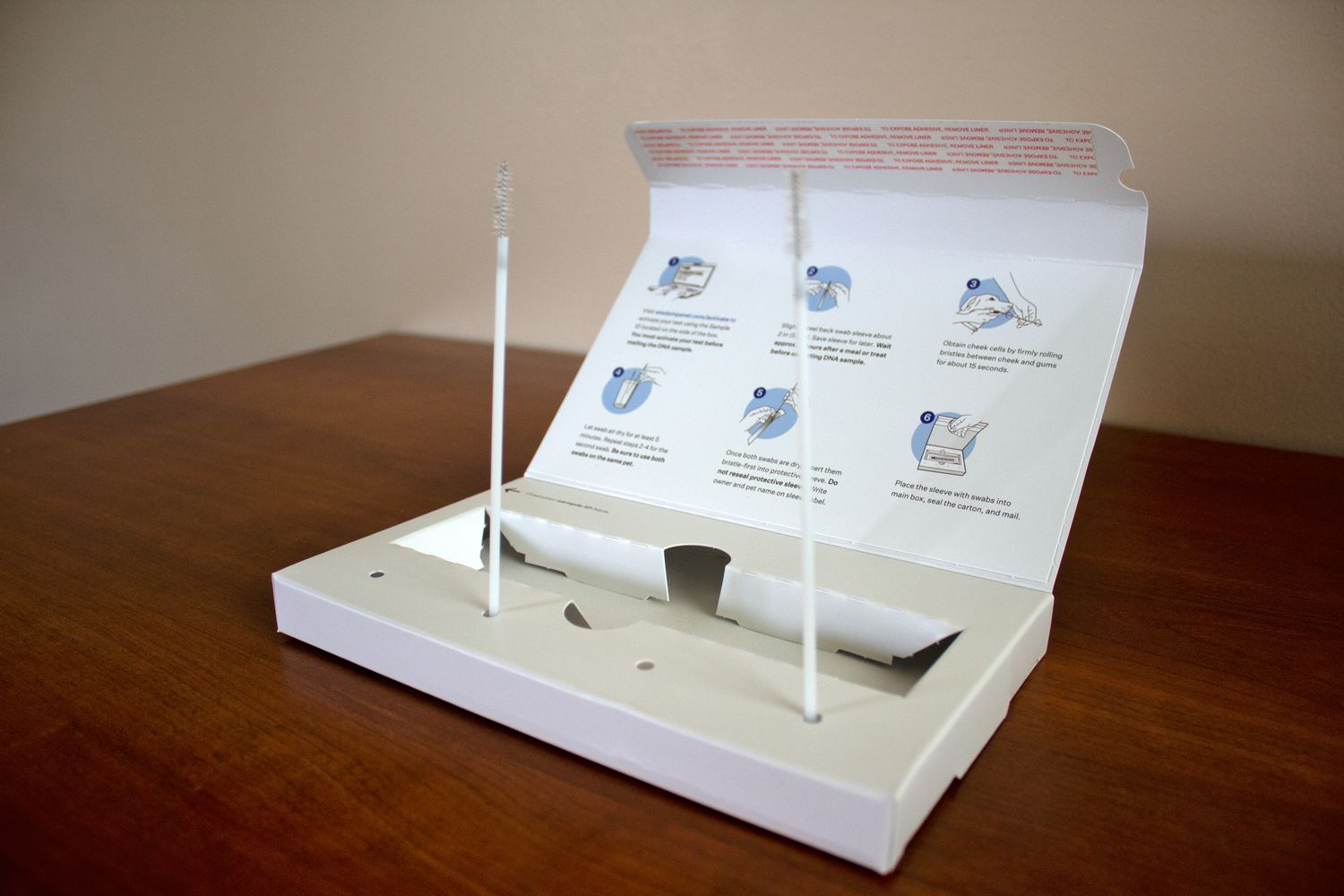 Wisdom Panel Essential Dog DNA Collection Kit