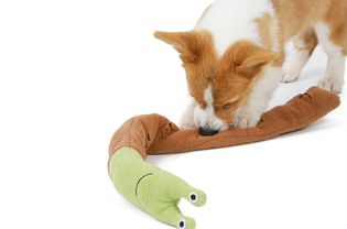 Spanomic Snuffle狗垫