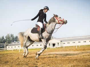 Cheerful young woman riding horse