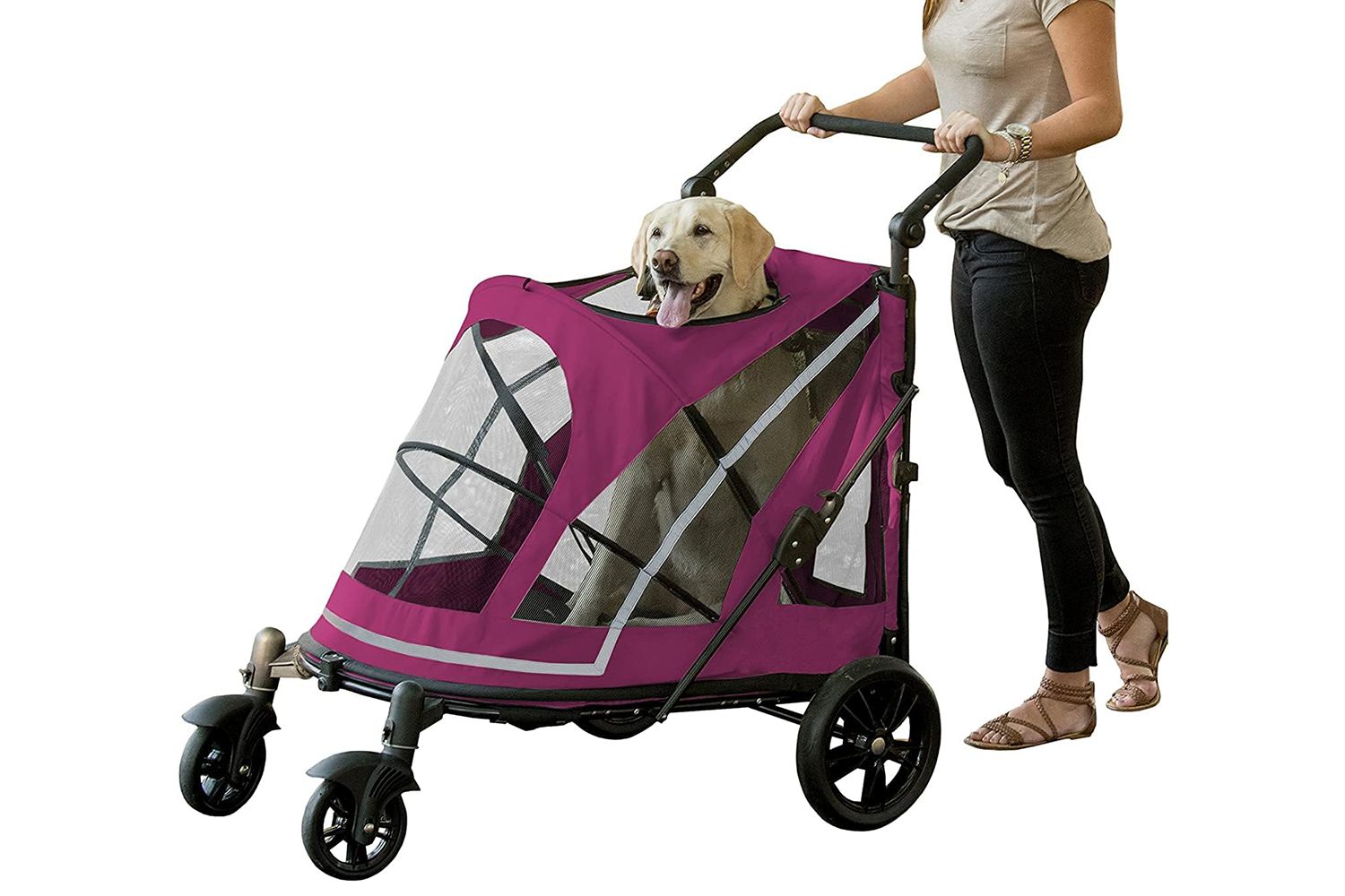 Amazon Pet Gear No-Zip Pet Stroller with Dual Entry