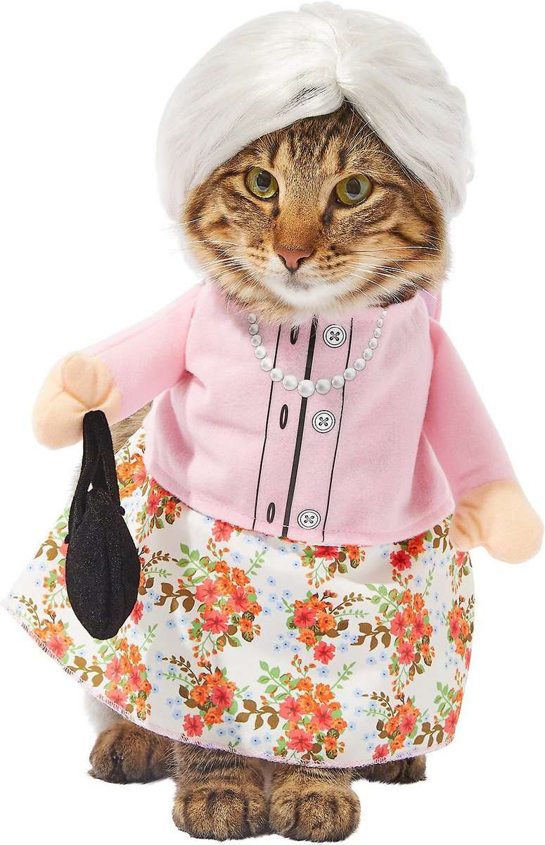 奶奶猫服装