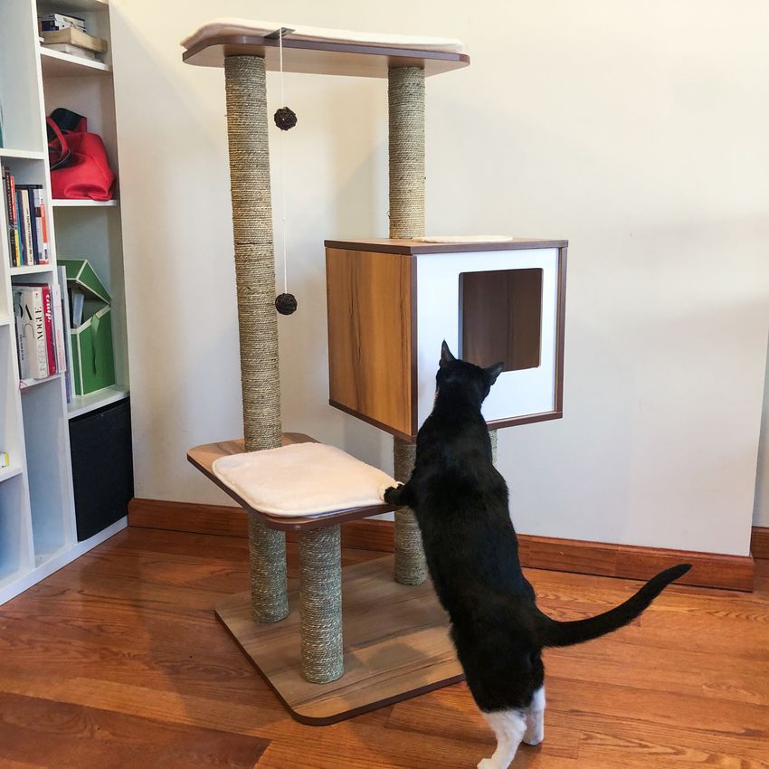 Vesper猫家具