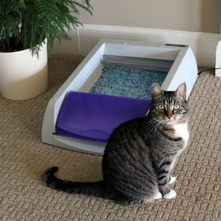 PetSafe ScoopFree自动清洁猫砂盒