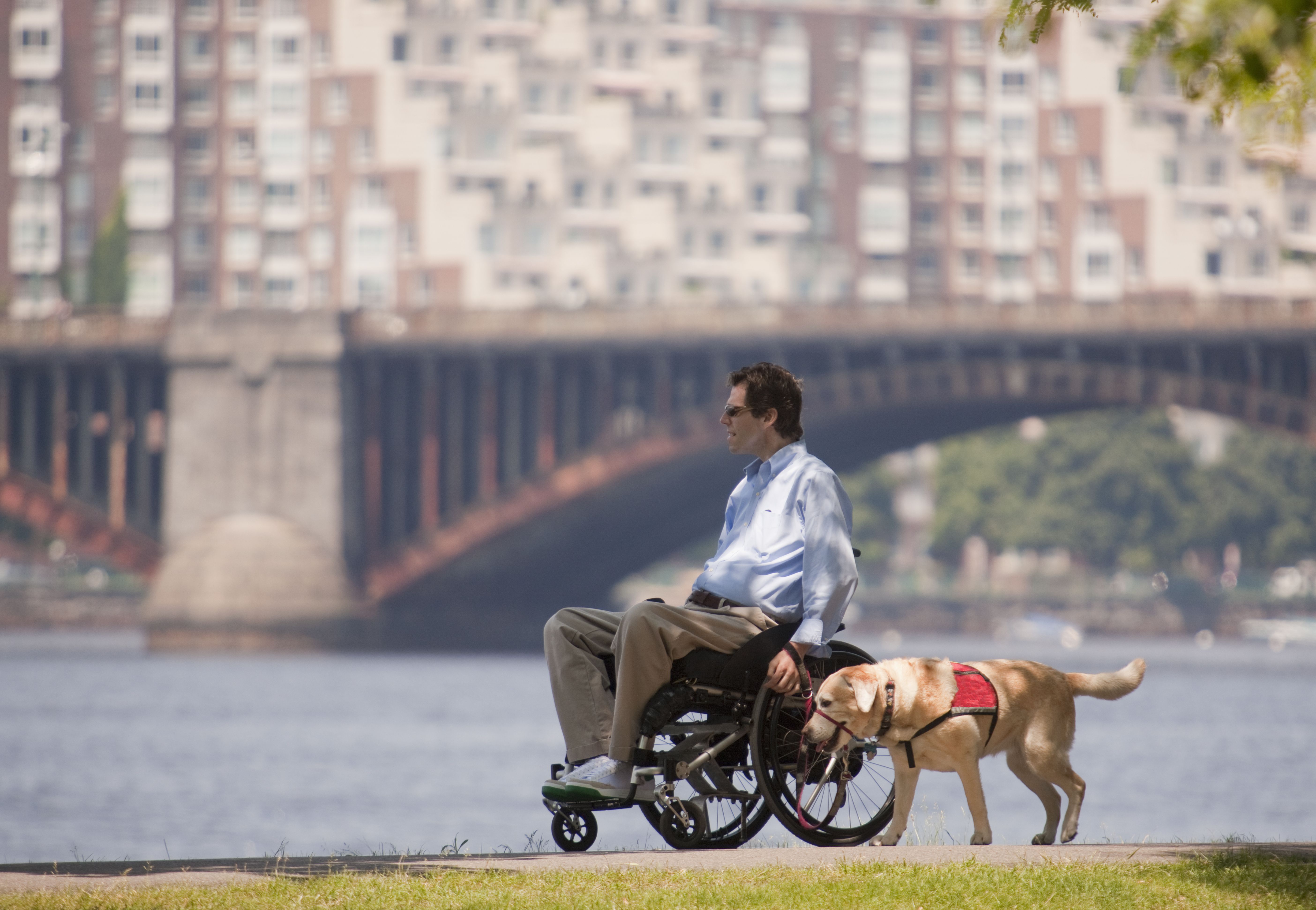 残疾人和他的服务犬在公园里