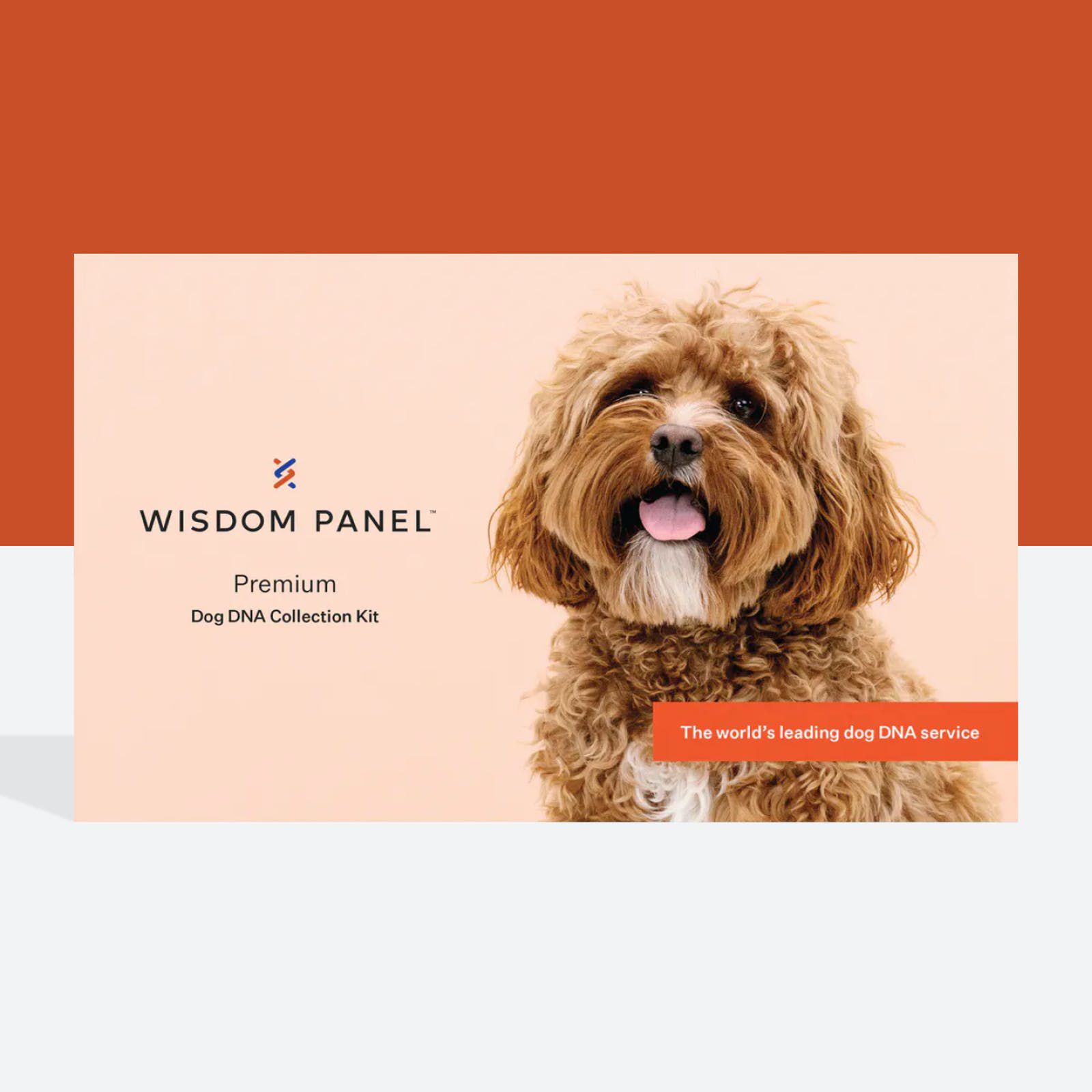 wisdom-panel-premium