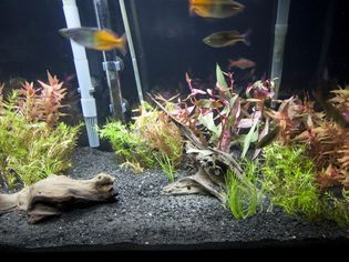 40加仑的油箱