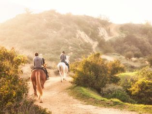 Rear View Of People Riding Horses On Pathway Against Mountain