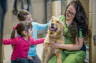 two young girls and a woman petting a golden retriever at a shelter