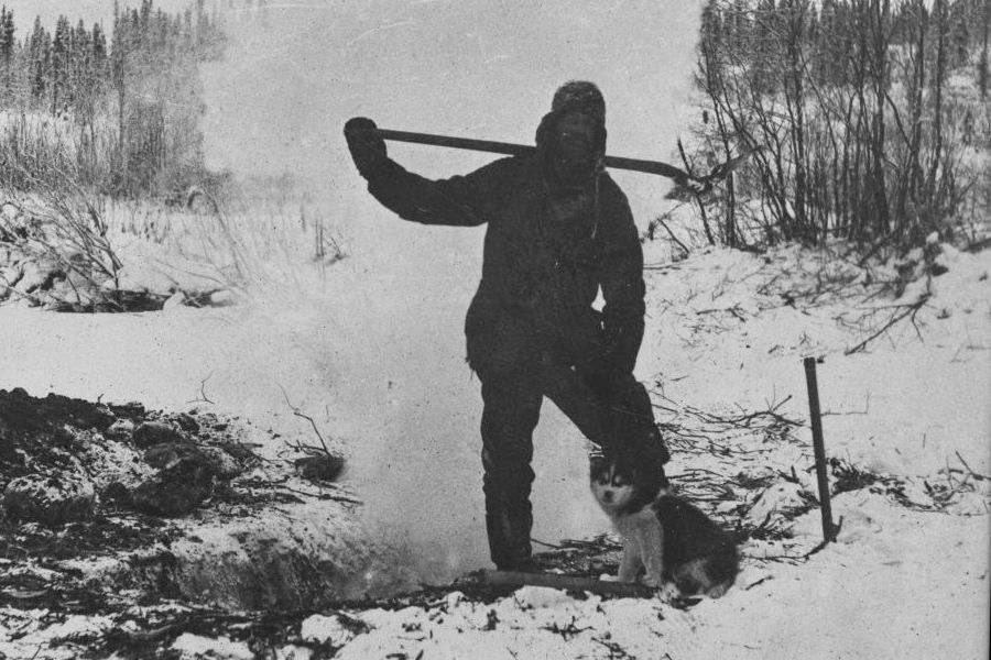 1899年，克朗代克淘金热期间，一位勘探者和他的阿拉斯加雪橇犬