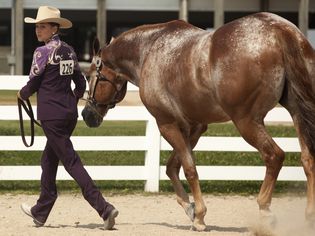 Young woman competes at horse show