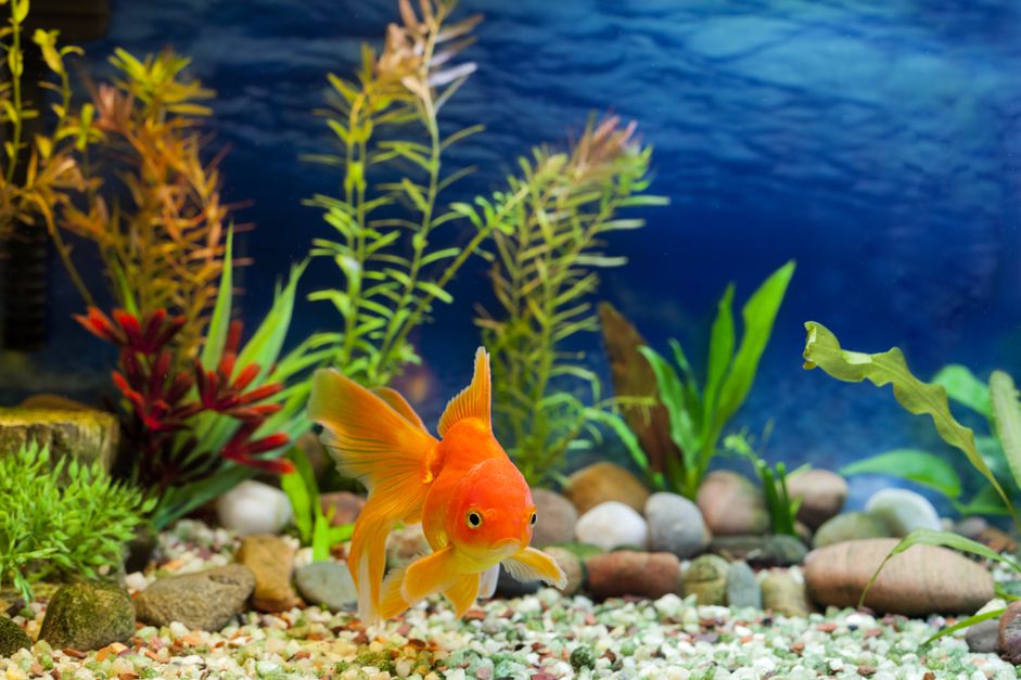 水族馆水族馆