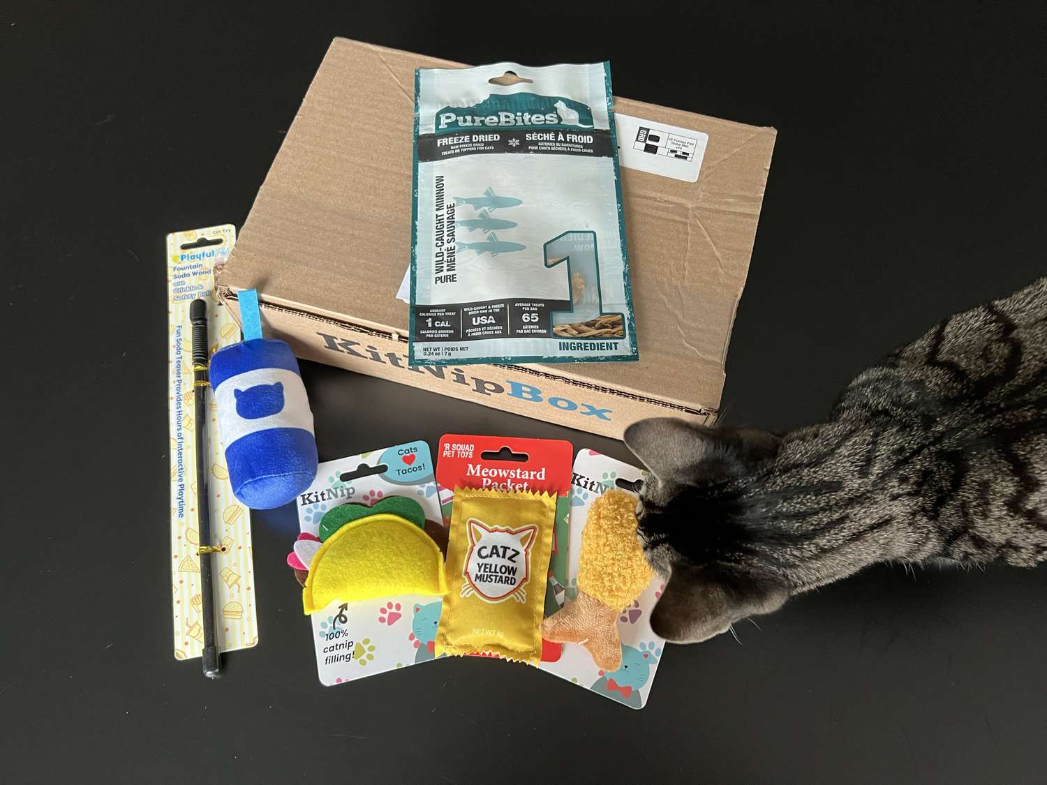装有玩具和零食的KitNipBox盒子