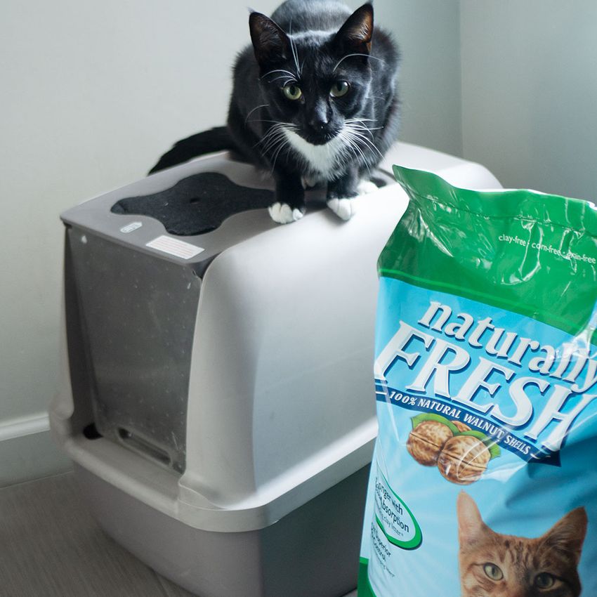 Naturally Fresh Walnut-Based Quick-Clumping Cat Litter