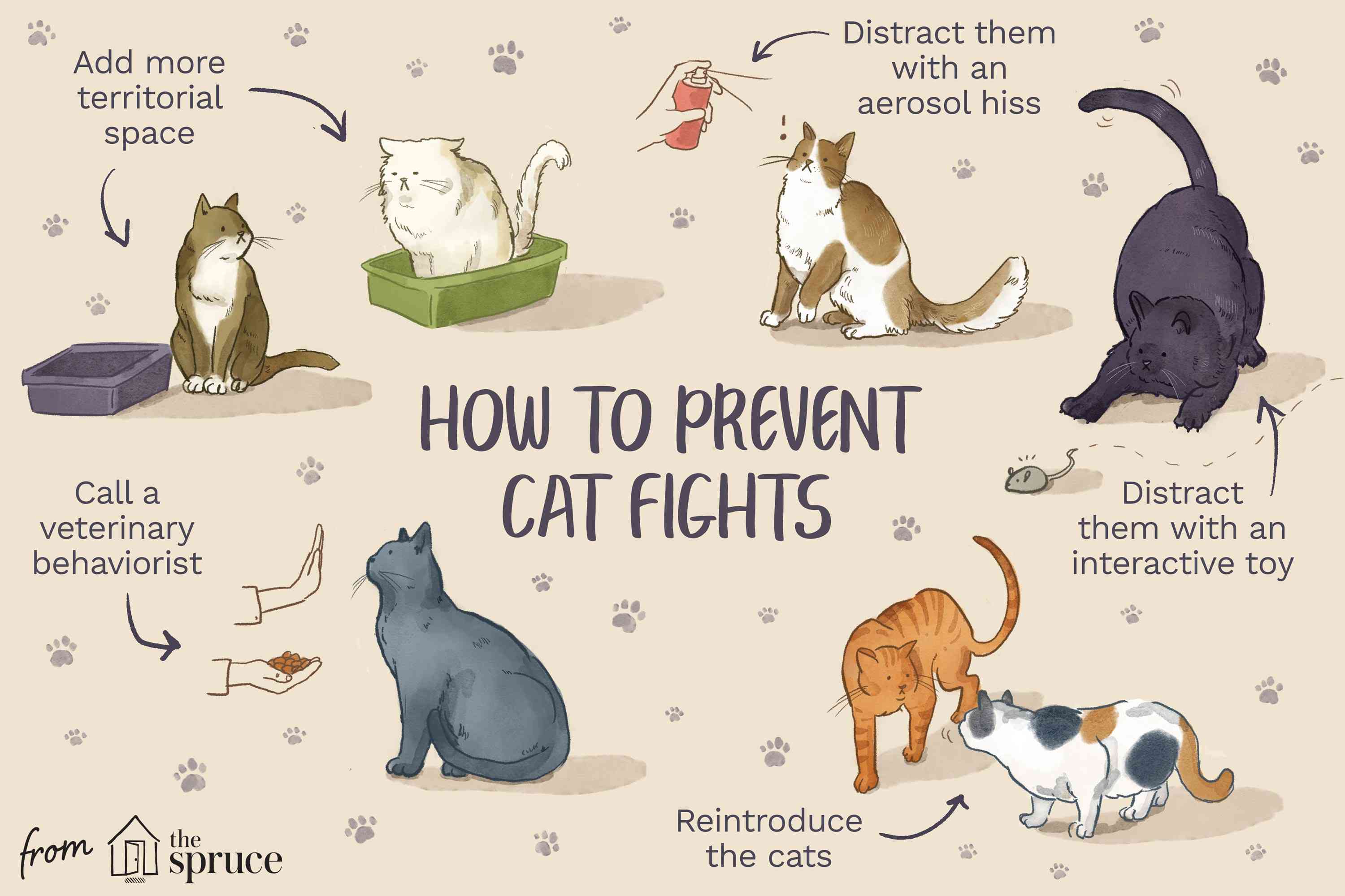 如何防止猫斗插画