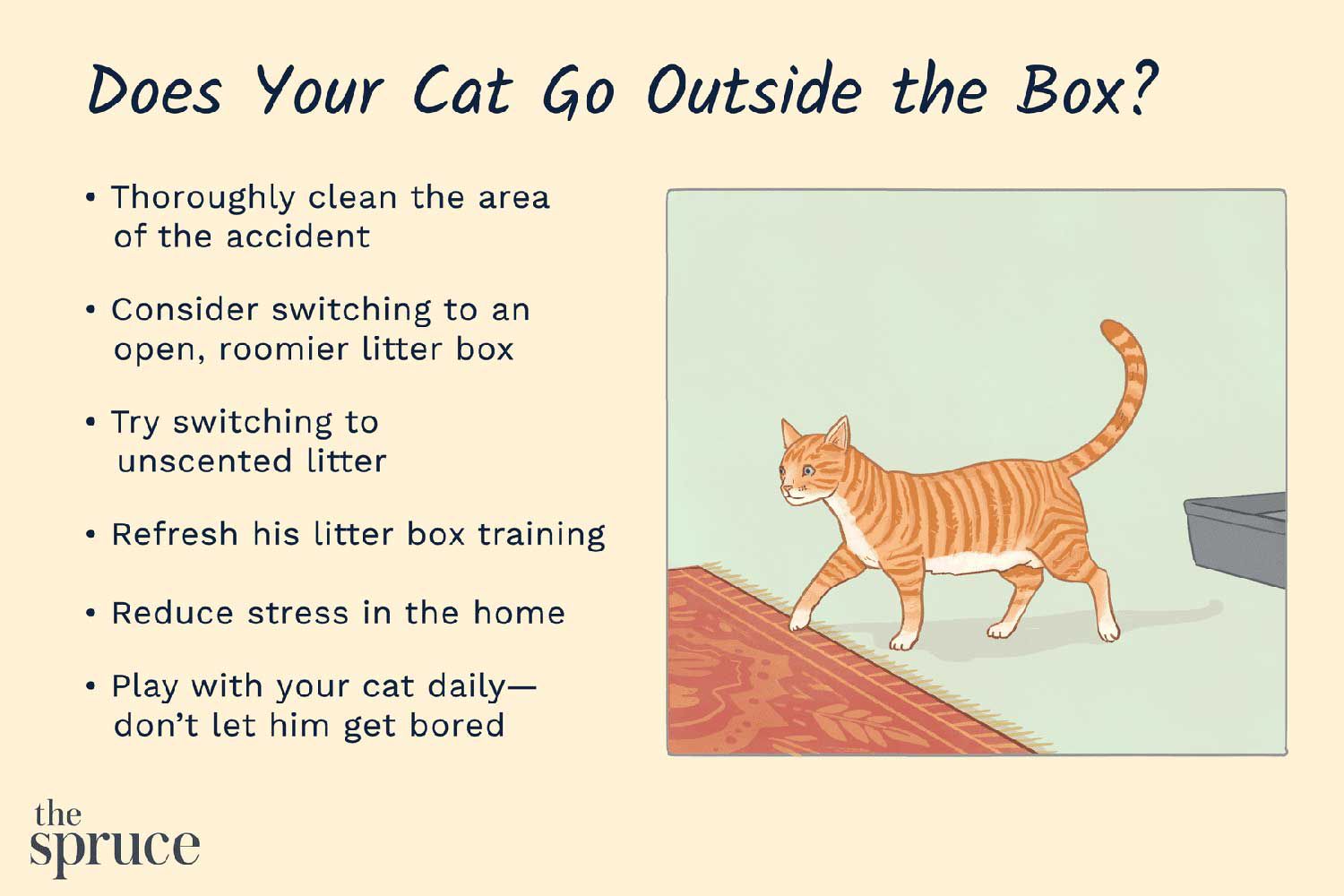 猫在猫砂盒附近的说明，提示阻止猫走出盒子包括:彻底清洁事故区域考虑更换一个开放的，更宽敞的猫砂箱尝试更换无气味的猫砂刷新他的猫砂箱训练减少在家里的压力和你的猫玩dailyâ ' - donâ '不要让他感到无聊