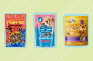 Best Treats for Puppies