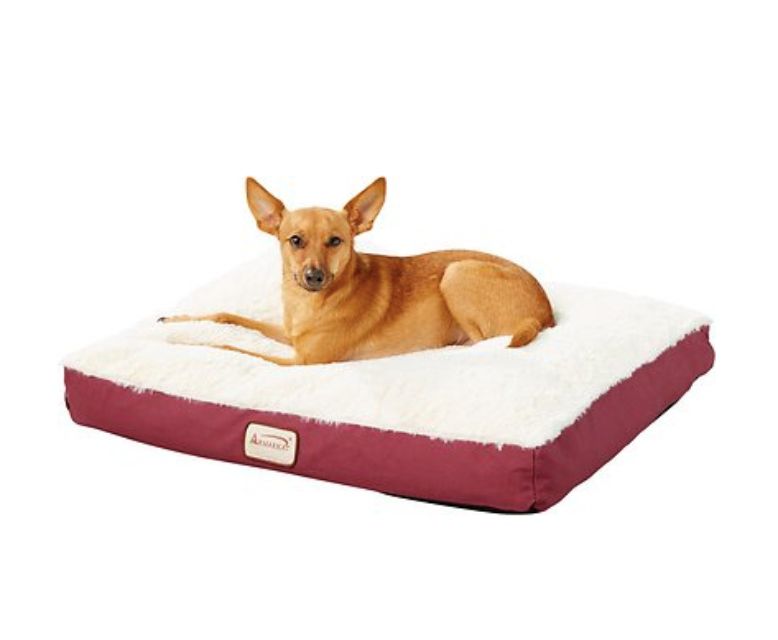 armarkat-dog-bed＂width=
