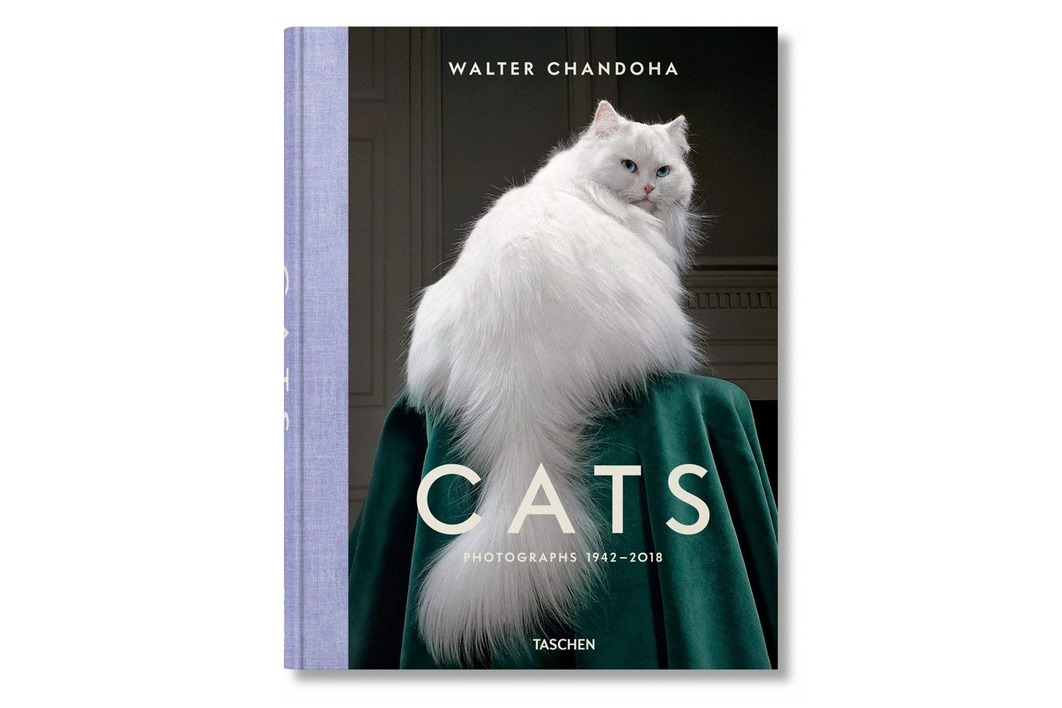 猫:照片1942<e:2> / 2018 / Walter Chandoha