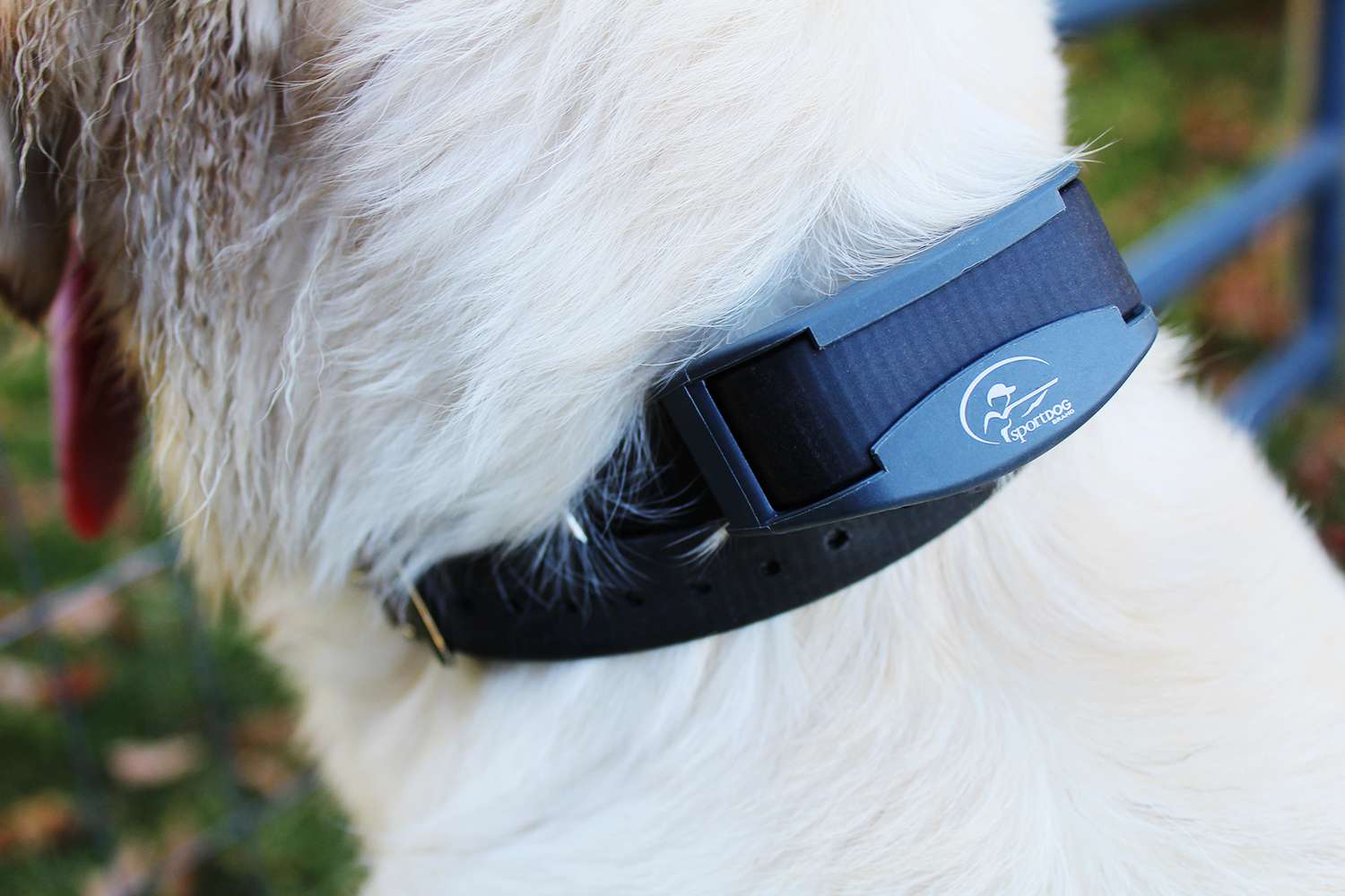 SportDOG FieldTrainer 425X训练项圈