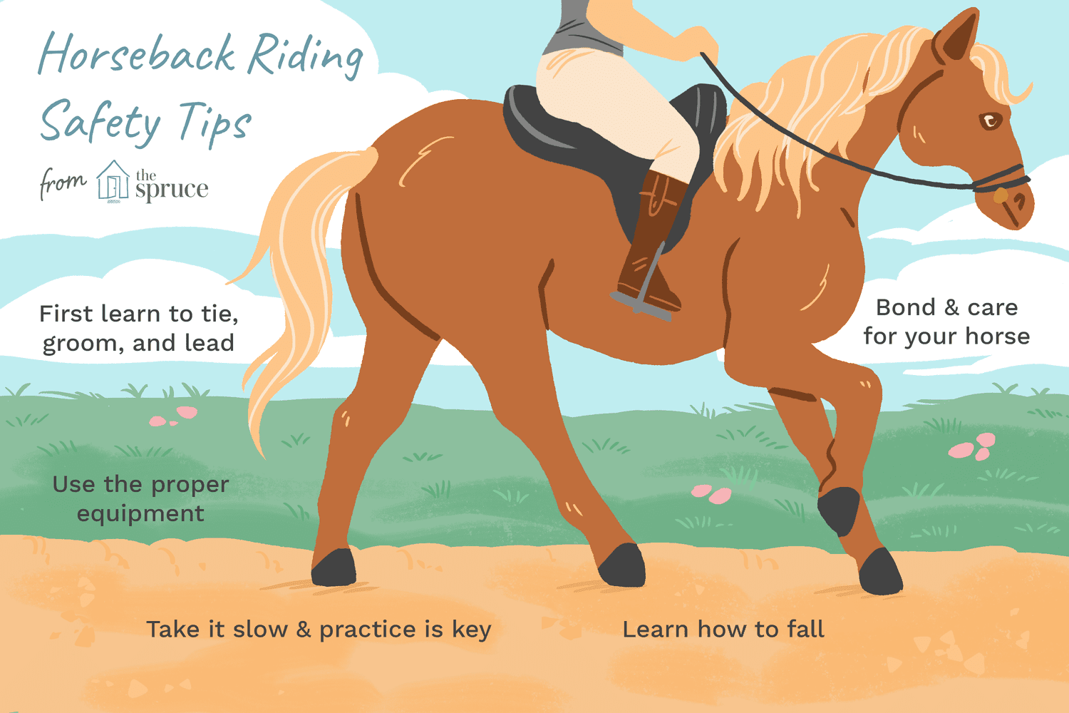 illustration of horseback riding safety tips