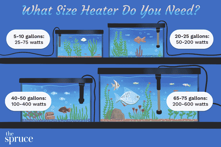 水族箱尺寸和加热器