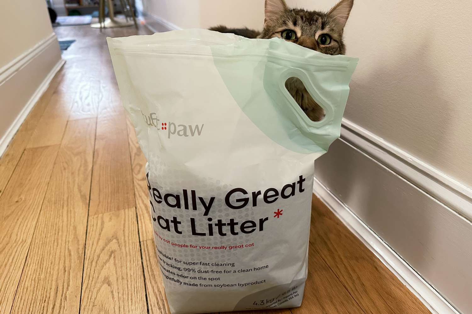 Cat peeking behind a Tuft and Paw Really Great Cat Litter bag