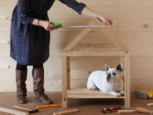 建狗屋