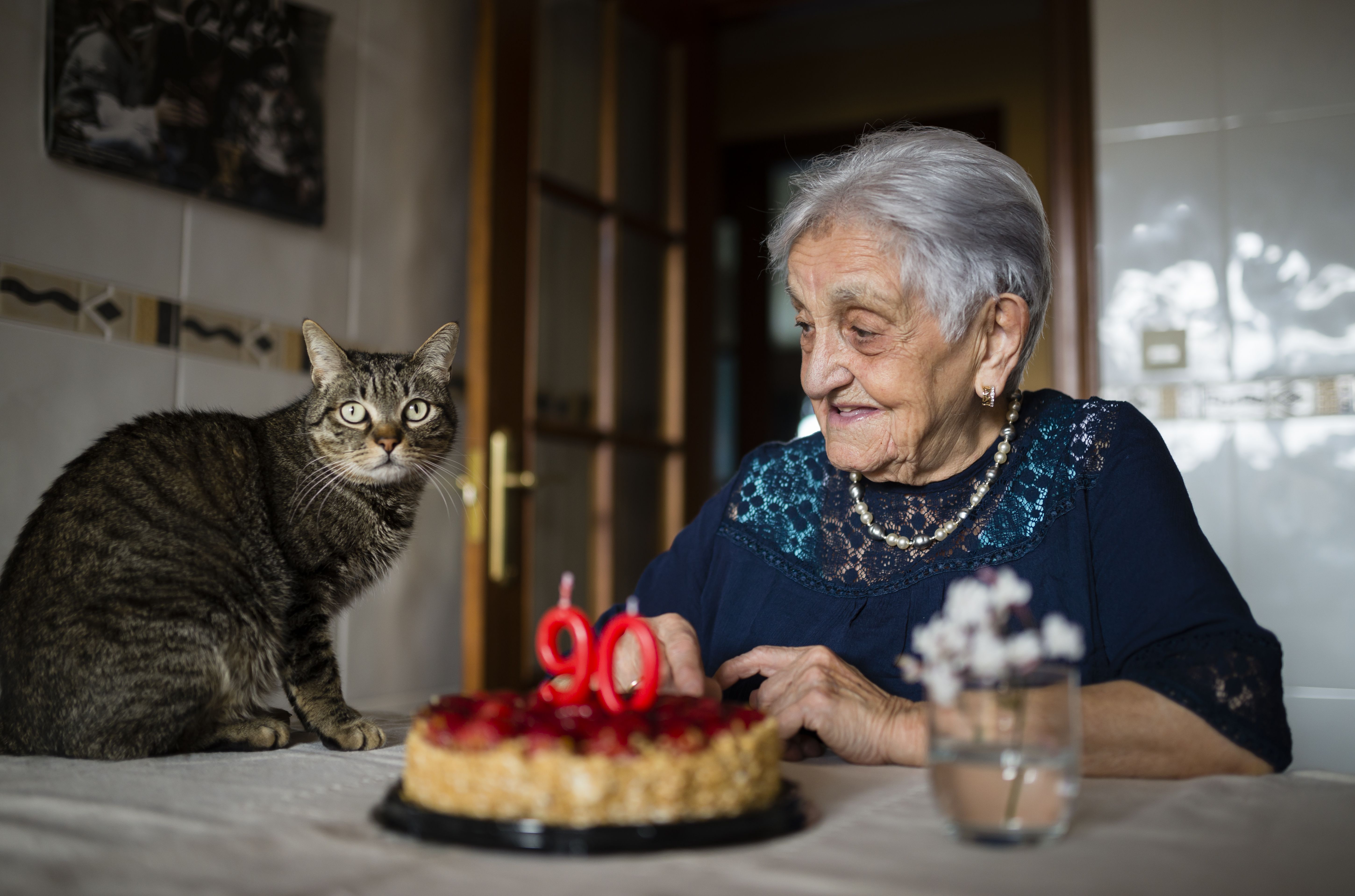 一位老年妇女和她的猫庆祝90岁生日