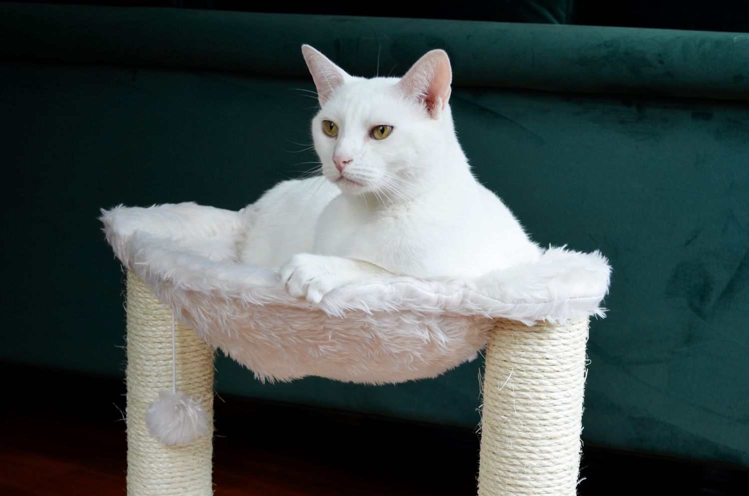 特里克西·巴扎猫吊床