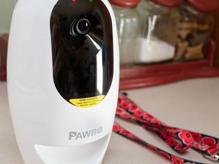 Pawbo宠物相机