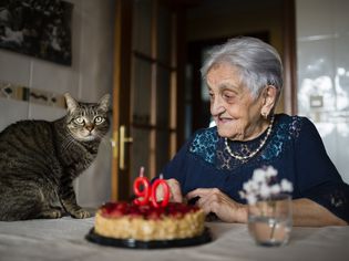 老年妇女和她的猫庆祝90岁生日